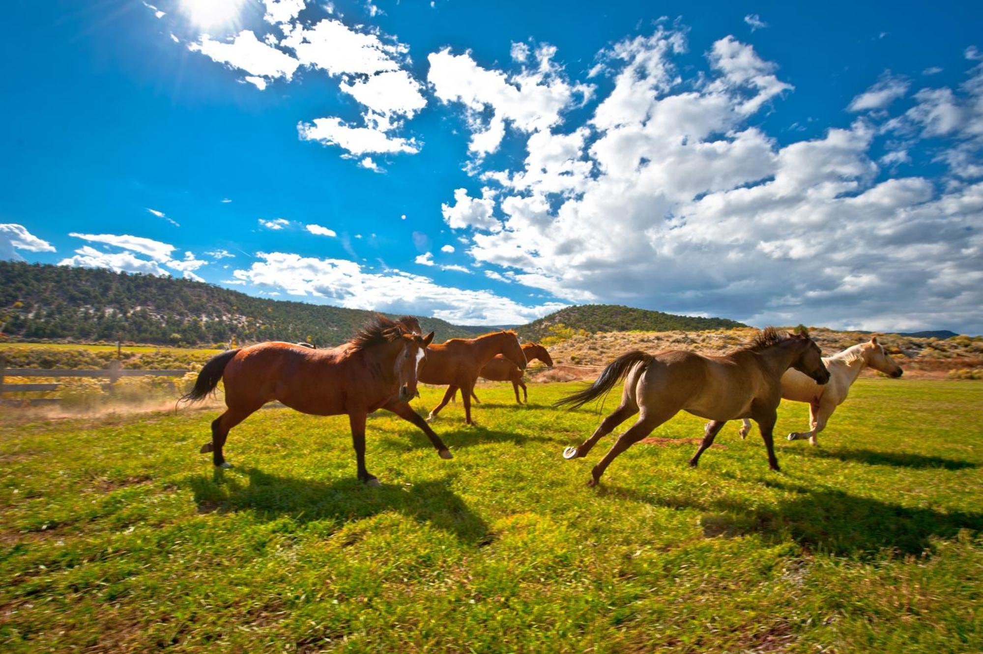 Boulder Mountain Guest Ranch Villa Екстериор снимка